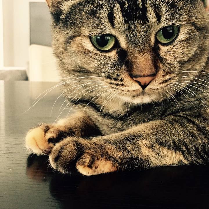 85a28e44 e8f8 4f8c b634 dca8b6aaf412