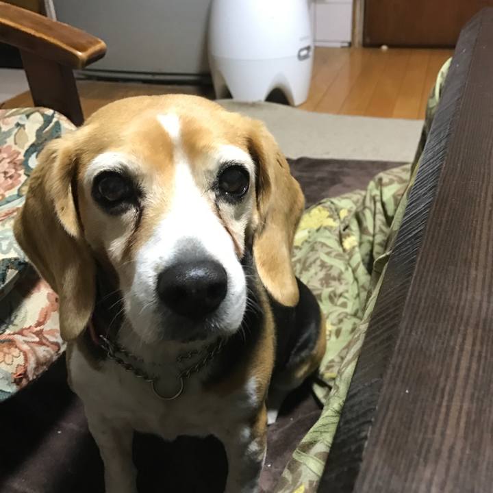 85a2d58c 49b9 4365 b31c a5a44fecc546