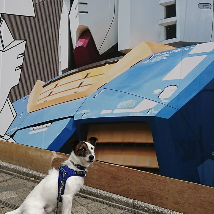 85a45996 fdc4 44b6 8f23 15a7ade94dd9