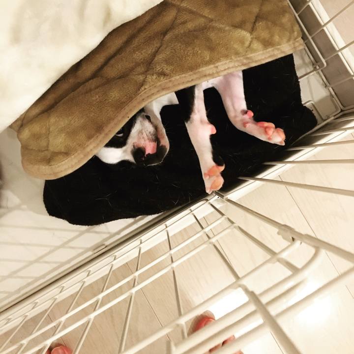 85a461b7 3a76 4dc8 a18e a8263b53c3e7