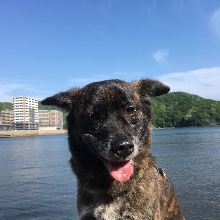 85a479e7 c34a 47df 9c8d 5895bb4ebd66