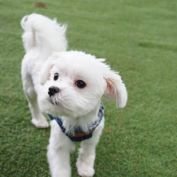 85a6f065 7861 4f94 988d 824c465ddc8e