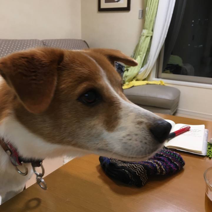 85a7e657 744d 4b7c aa68 4dc601cfb6e3