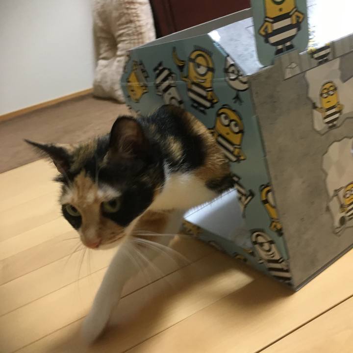 85a80f23 bd7d 43e0 b80d f7430c31b878