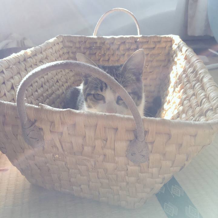 85a83339 1283 4388 a1ae 00c4bbf7971e