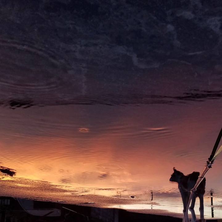 85a86ec4 4483 422c aaf5 d92c0b58900a