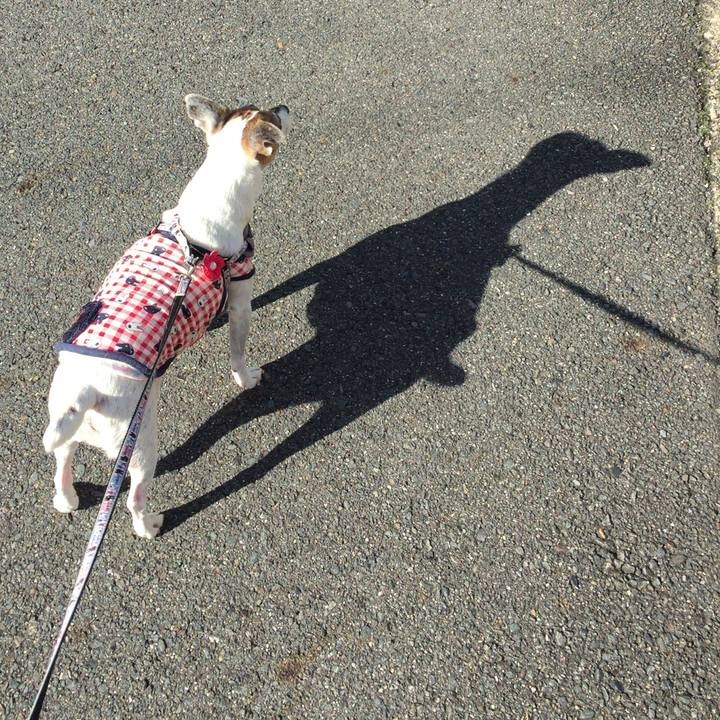 85a93610 22c9 4e33 89ee 45fa8c513fec