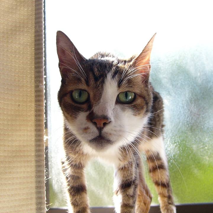 85a93e58 c73d 4278 b275 bbc3ce6b917c