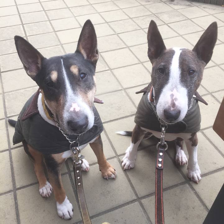 85a9a503 4ba1 4a72 8f5b eb9e803a5352