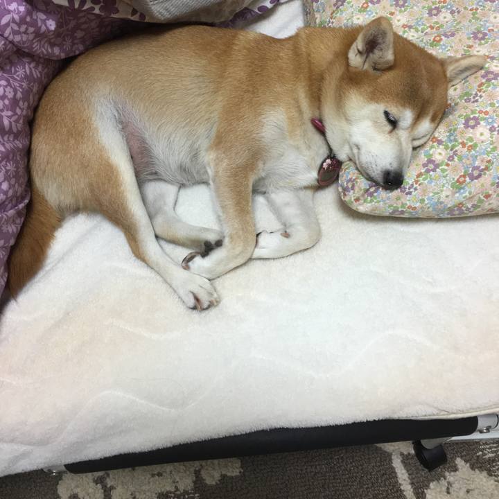 85a9f0ea d6dd 4b62 97ec e10227c116ba