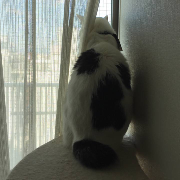 85a9f192 1985 4534 9caf ea7d942599f8