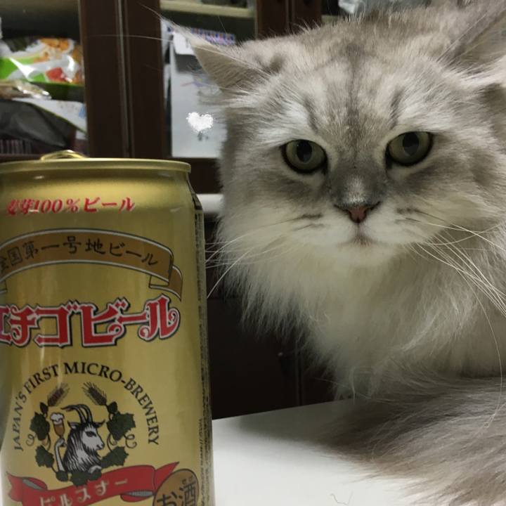 85aa37a2 1554 4f2b a33e 9039be54b0f9