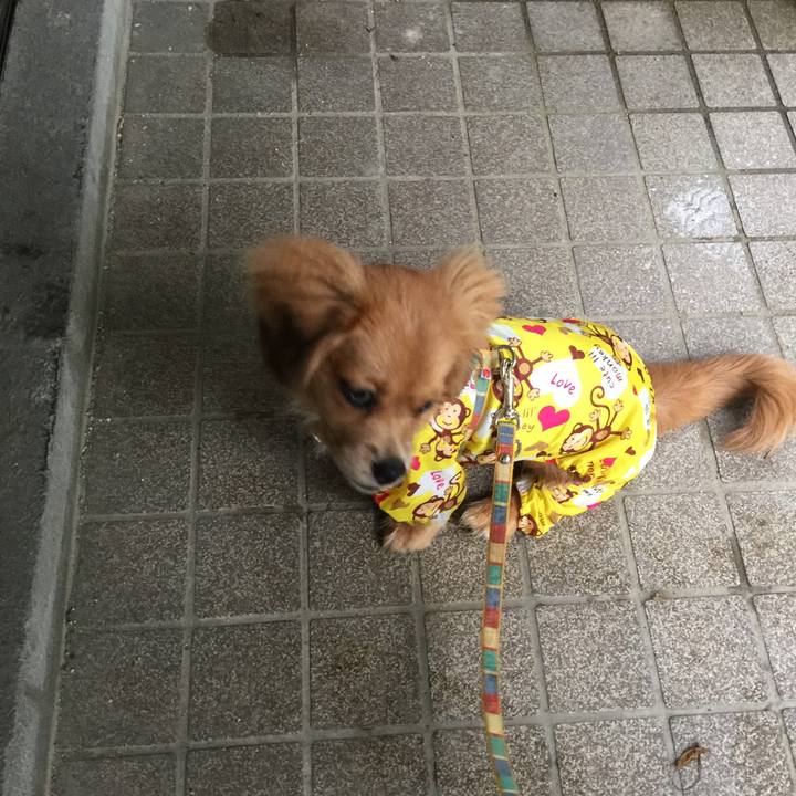 85aa471d 10f2 4d95 acd9 f847057c68fd