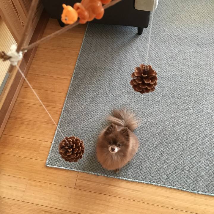 85aa605b 5c40 4af0 997b 9451d3f8a434