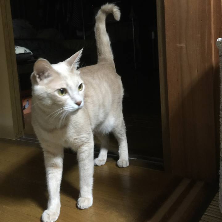 85aa751e e0a5 4f39 a873 bbafc6a80e93