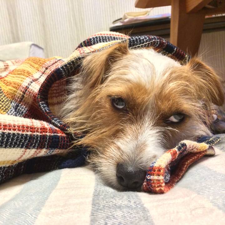 85aab035 5131 47ed a314 a79dd3a23f64