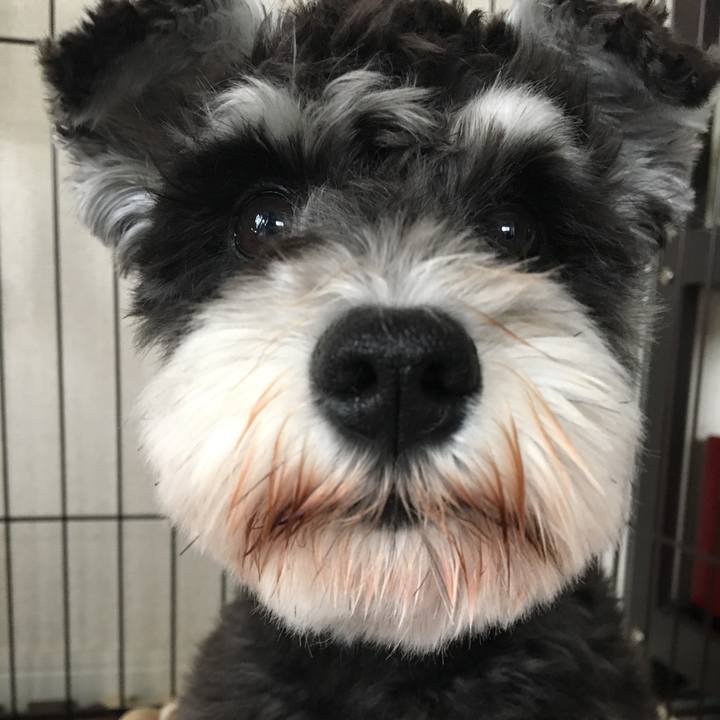 85abc32c 21ff 43f0 b147 4b84e0f65106