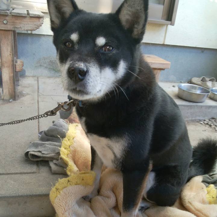 85ac430b 0b31 4fff babb 8772eb627e24