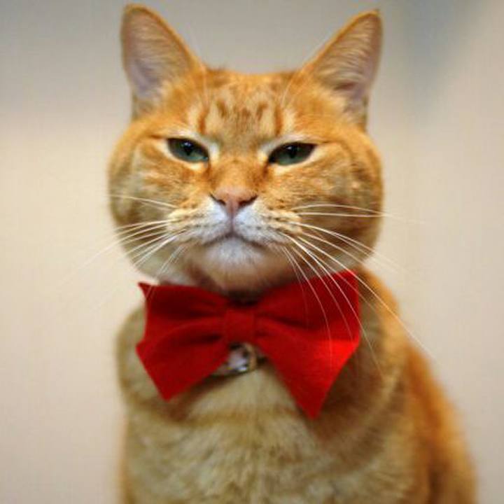 85acbec2 076e 4aa2 9425 83e5f6d2b29d