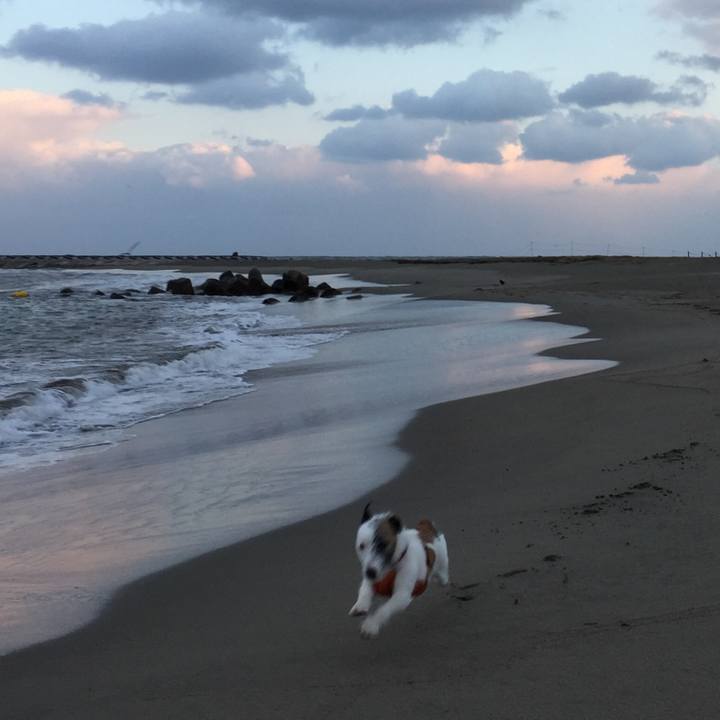 85ad9684 048a 4fe5 9cd8 5222158c7bb3