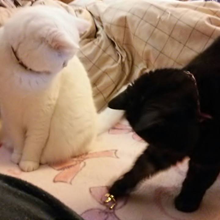 85adbf3a 33ce 4741 bfc1 3c64cde2442a