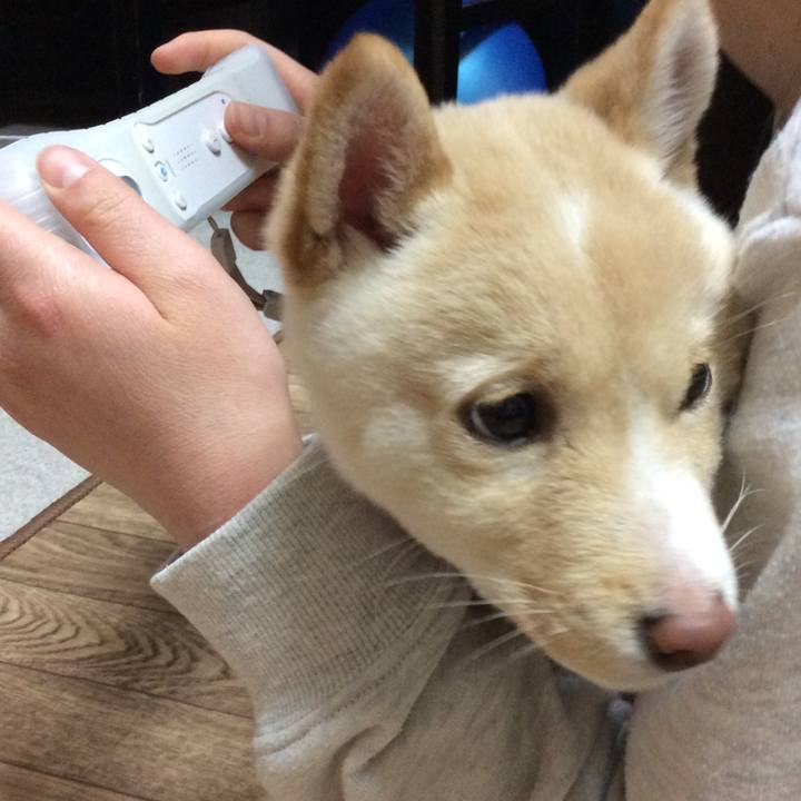 85adc41b 633f 499b 8490 57d941c9e036