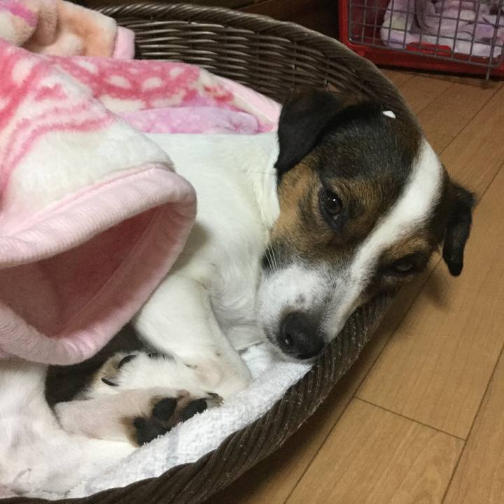 85af2d62 5e2c 4cd9 b0b3 749bcae1c98d