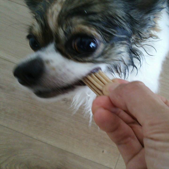 85b07da4 7304 4186 84d0 d35366caf795