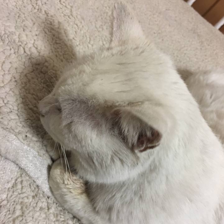 85b0981f f883 4650 985c ee848b604e23