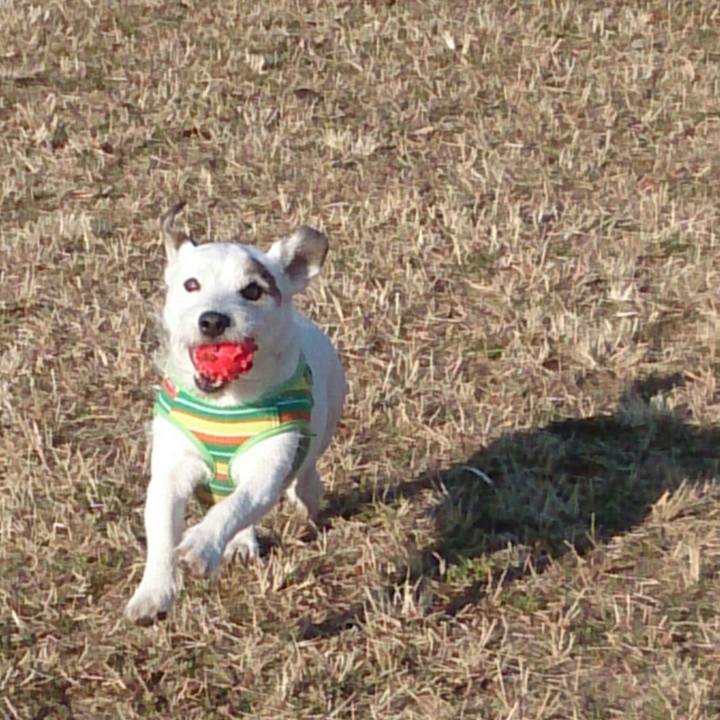 85b0a5ed 6a17 4b28 b665 9673025bd25e