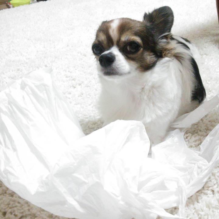 85b0b1e8 f7da 4615 8e5f 7dc49e93de27