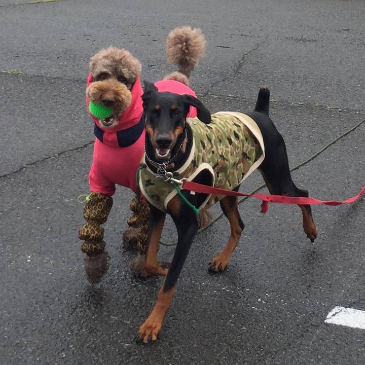 85b0b349 a930 4554 a38a 9d47ffa12aa5