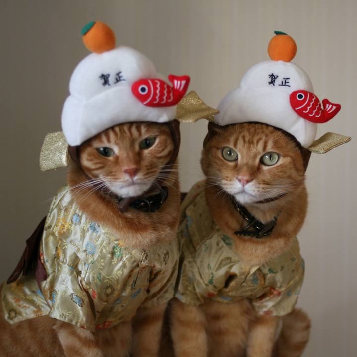 85b0f5cd f216 443d 9747 47d64c9bdfdb