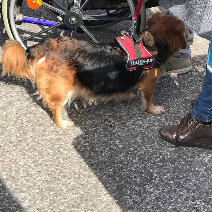 85b10e2f 6e99 4415 9e84 536afa1237e7