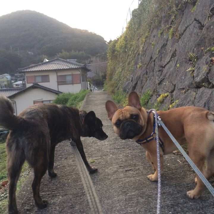 85b1d4c3 65ca 4bc7 861b 9d05a350a992