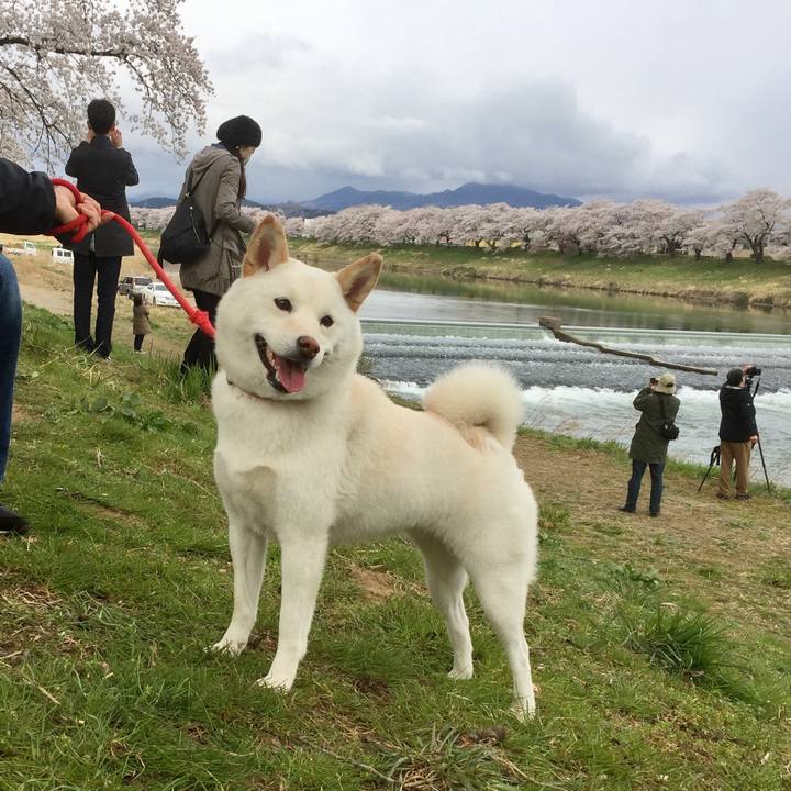 85b217e1 8ea1 452a bd6d 47725b8ced24