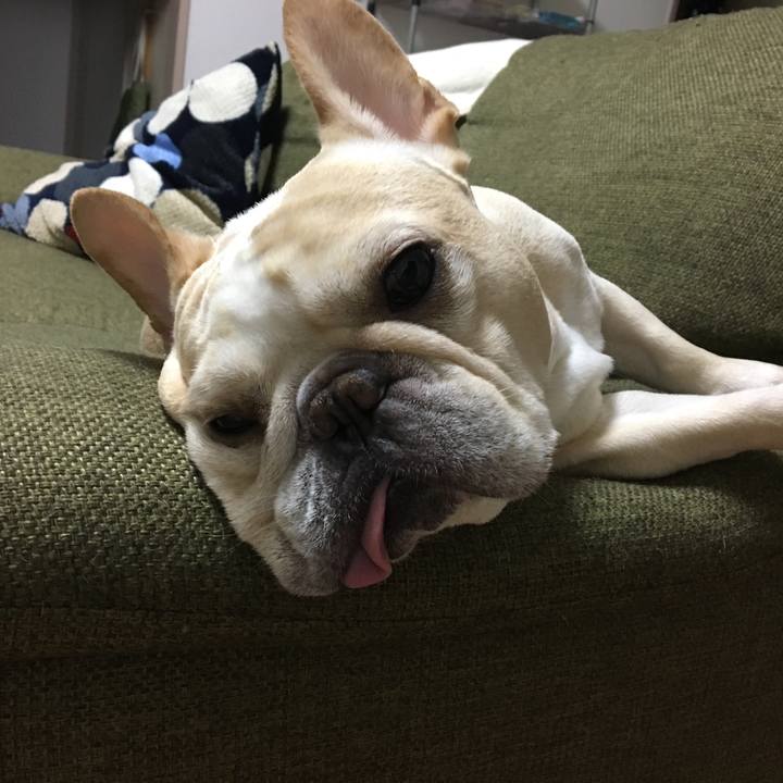 85b2860c 76f7 4d5c bd63 e9d4f75467b6