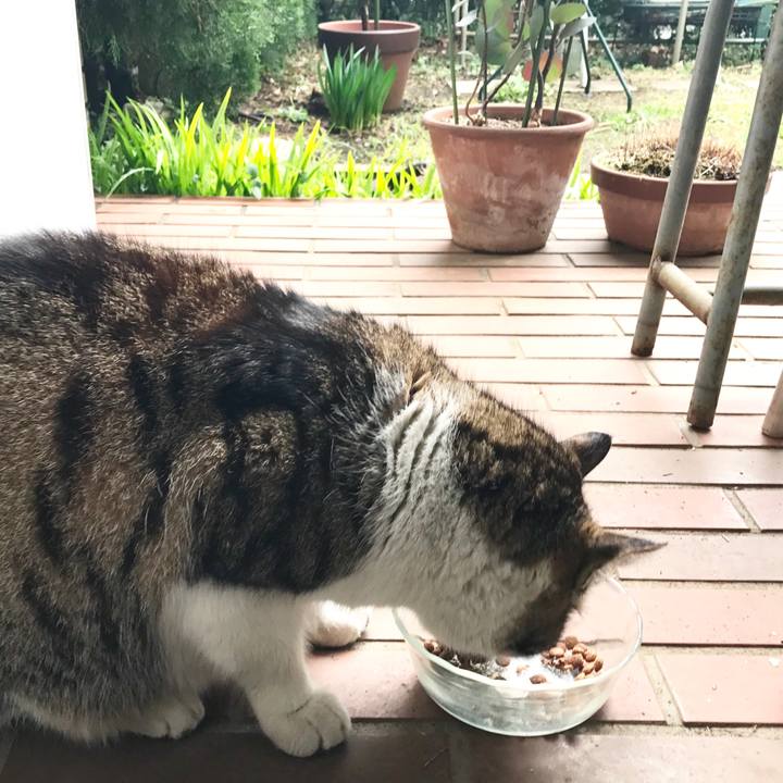 85b29b7b fce5 4bea a137 30d48413f020