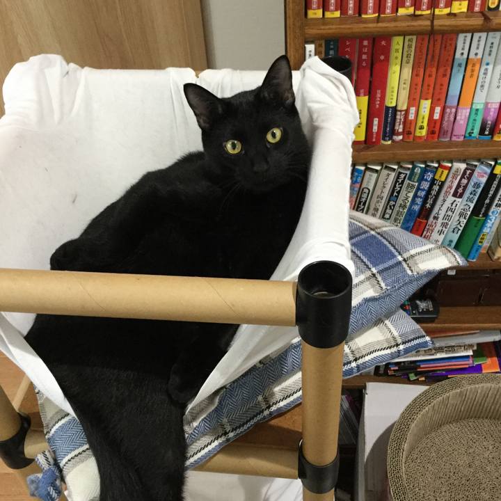 85b2f616 105d 468f 979b 9a2a28812798