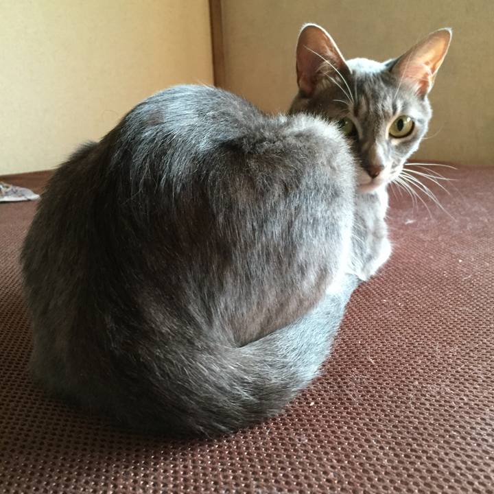 85b30563 0f9c 40fd a181 04ff59f9872c