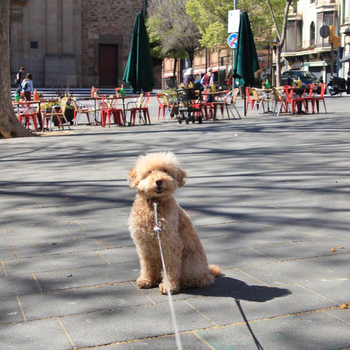 85b3763e dcc4 417d 9281 25b8c19f0723