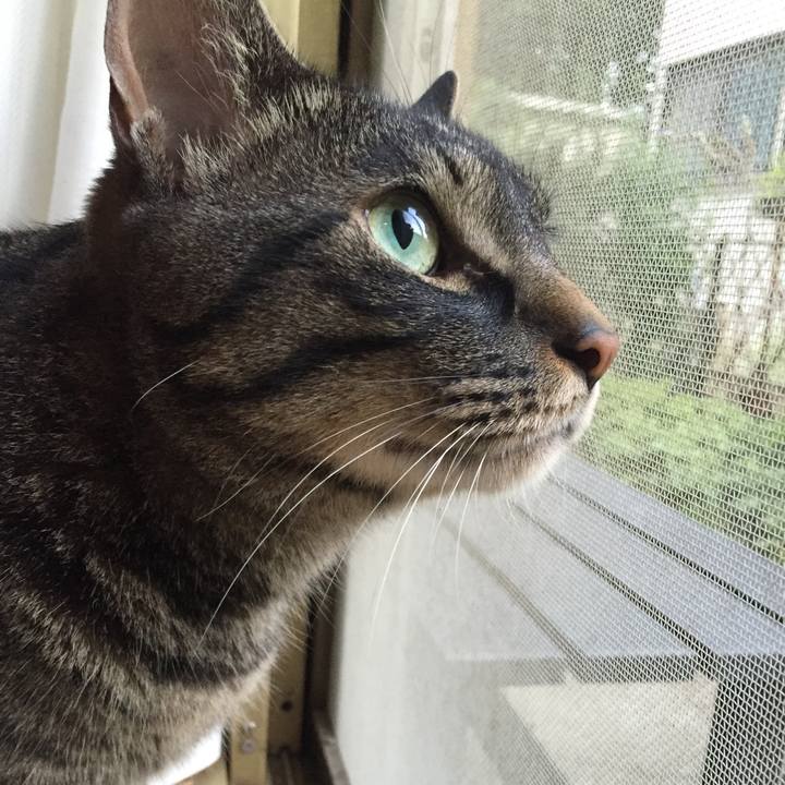 85b3c325 596b 4bec b0a7 5a9da9d872bb