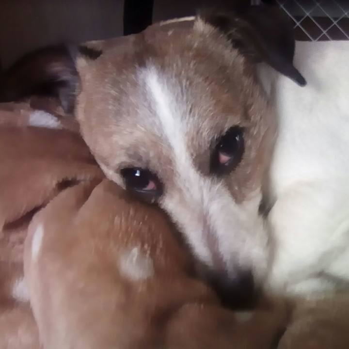 85b5aa0c 8260 442e bfac ea5d140b97c3