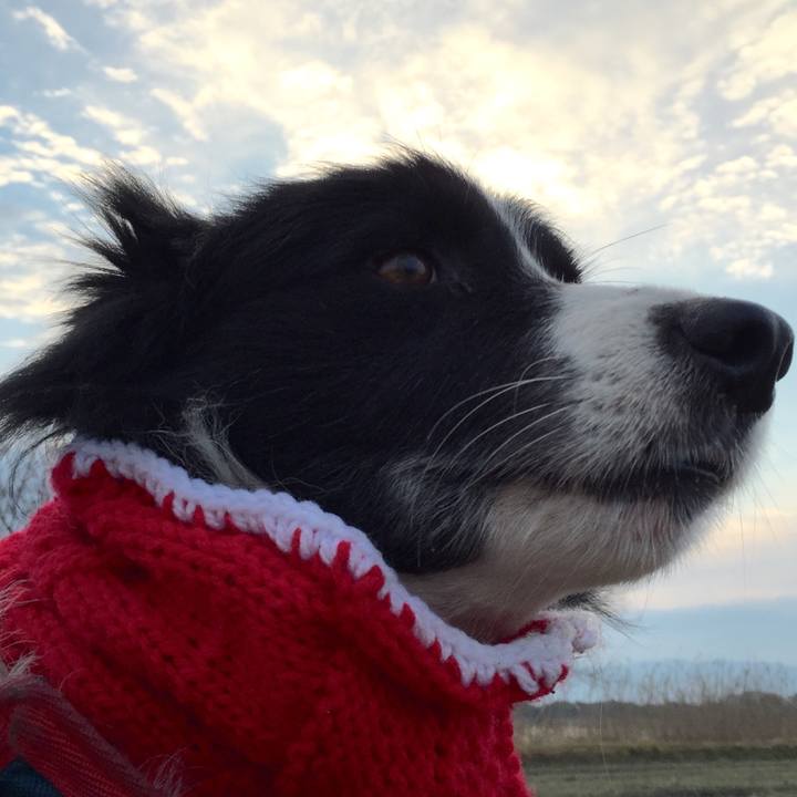 85b5cc47 532d 4f32 8bb8 fb3cc720b65d