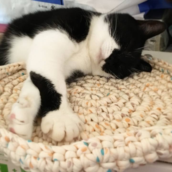 85b5db9a 41ab 4ce9 ab20 8768e59ea93b