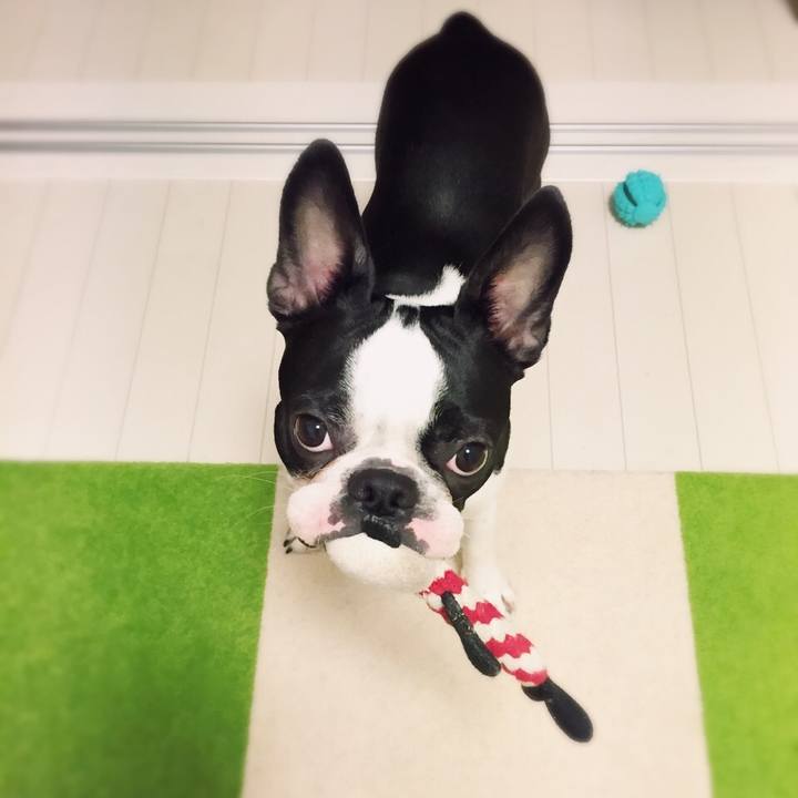 85b62a93 a0e2 4a07 a55c f05c54065b82