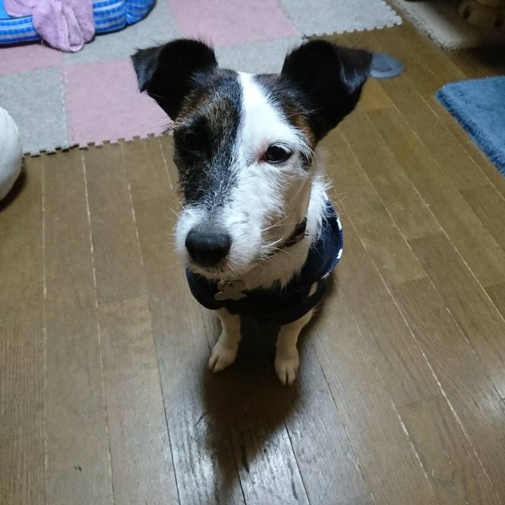 85b63feb 2840 4dc1 9dab 9f0b5f6802fe