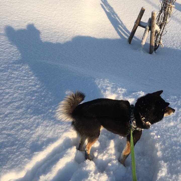 85b6cc1f 9c1a 4bca a5d2 05ce92b78f36