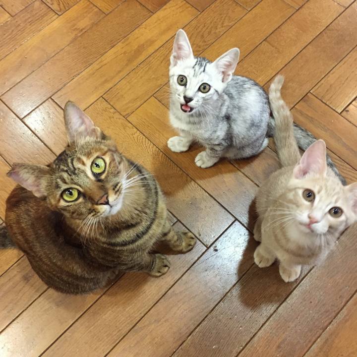 85b718b5 8f89 4cfa b425 c6791cf30ea2