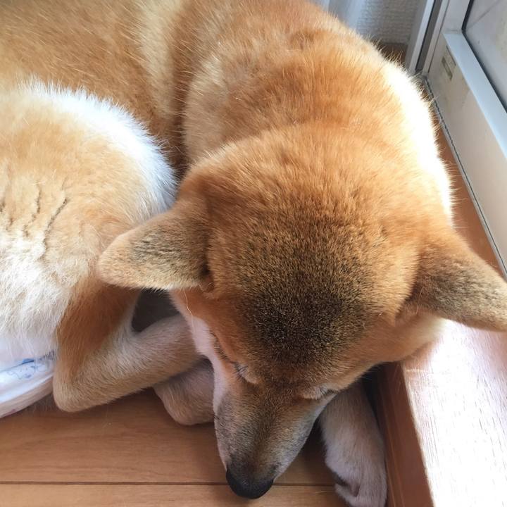 85b73fa7 eb49 44d2 9386 f50d8af11458